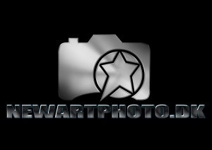 Sort/metallic logo